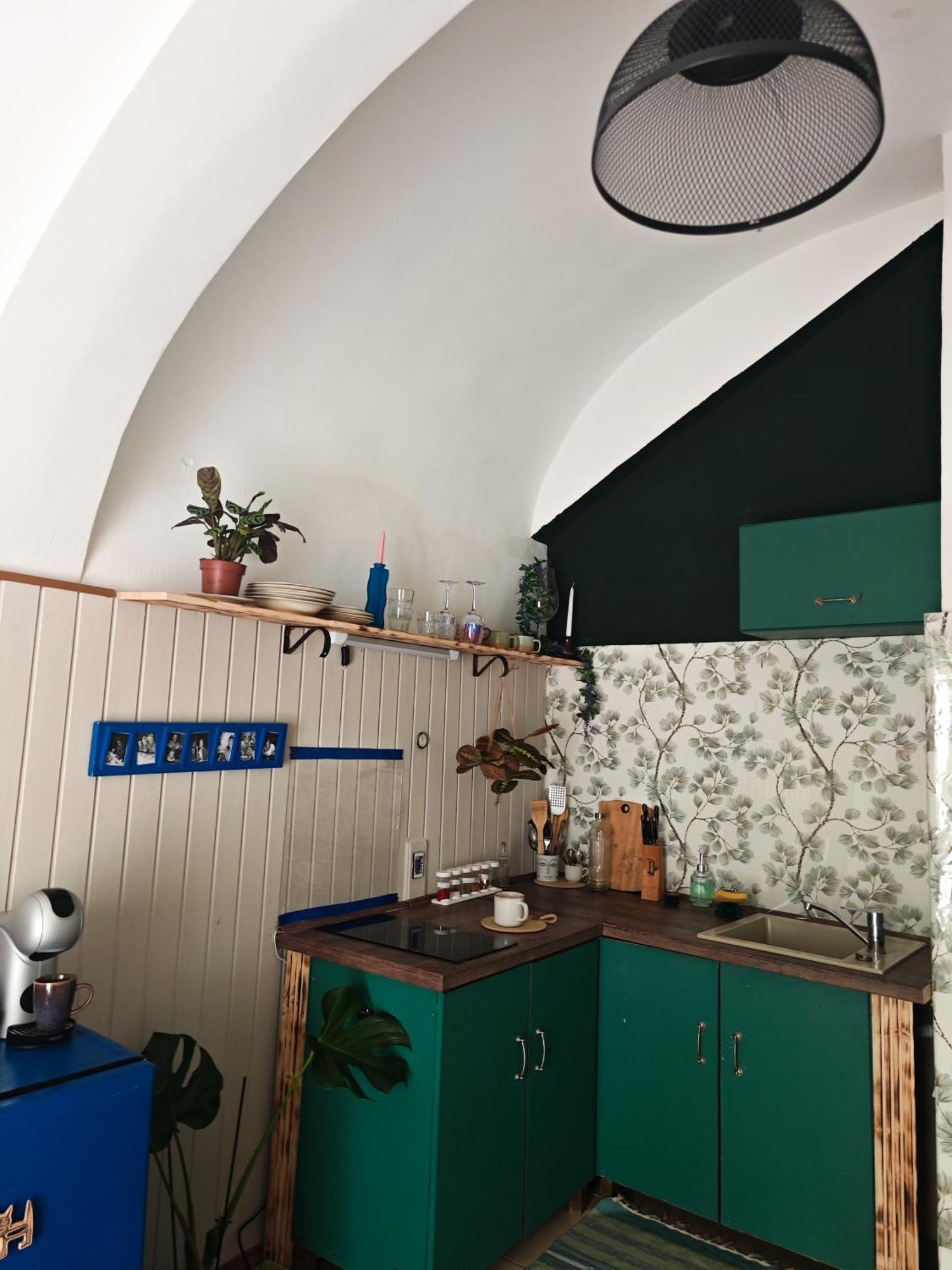 Vintage Room With Garden View Bratislava Bagian luar foto