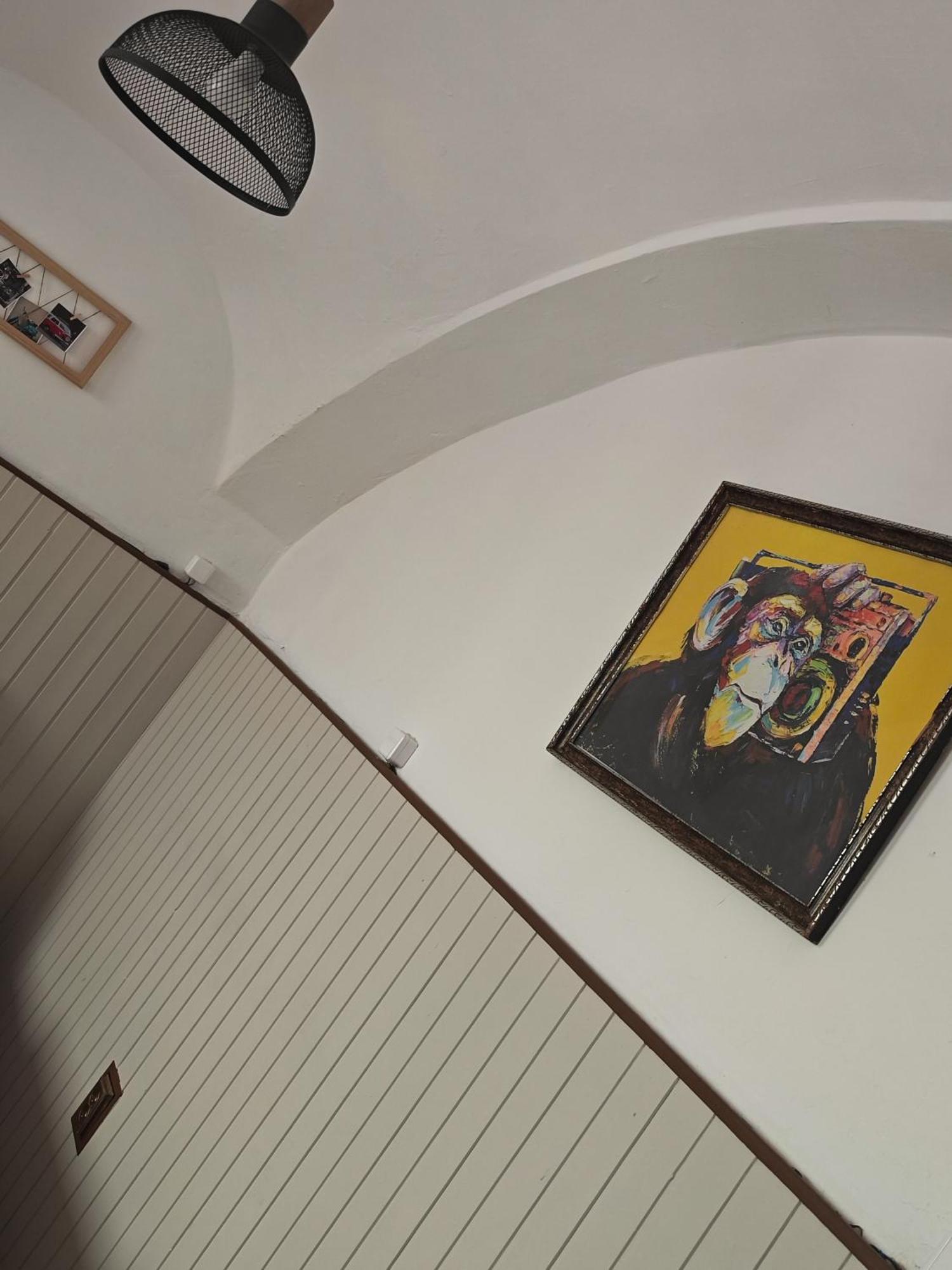 Vintage Room With Garden View Bratislava Bagian luar foto