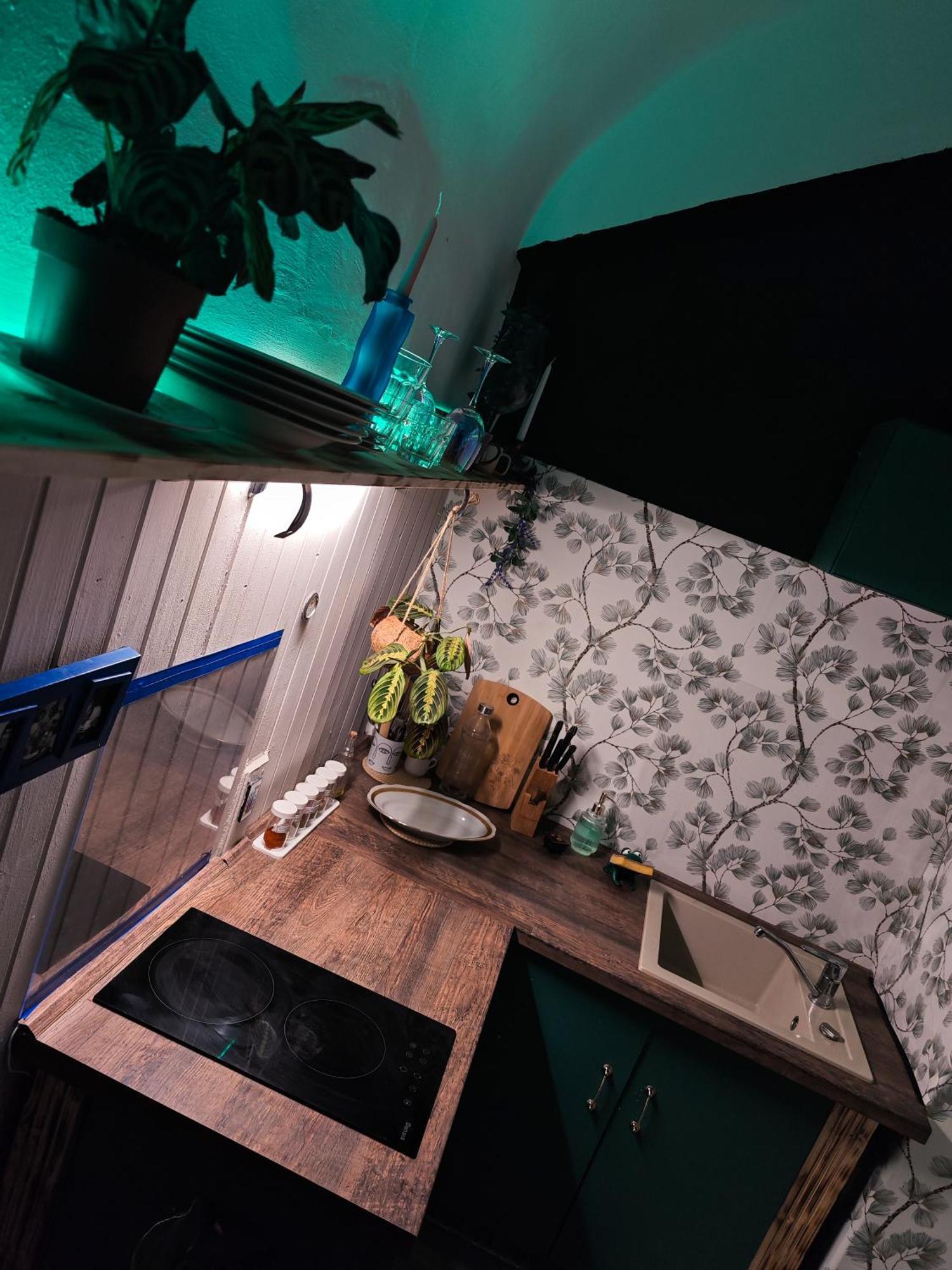 Vintage Room With Garden View Bratislava Bagian luar foto