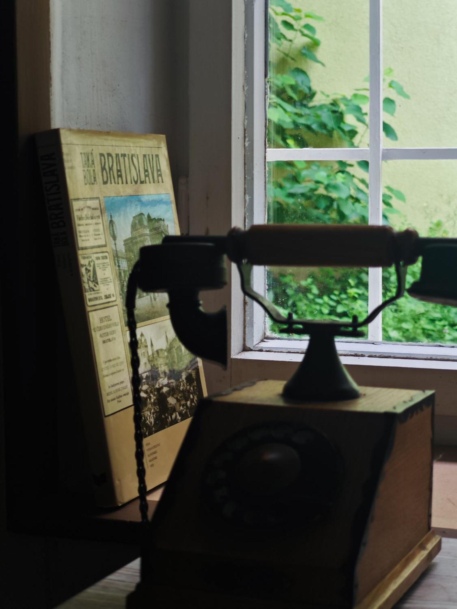 Vintage Room With Garden View Bratislava Bagian luar foto