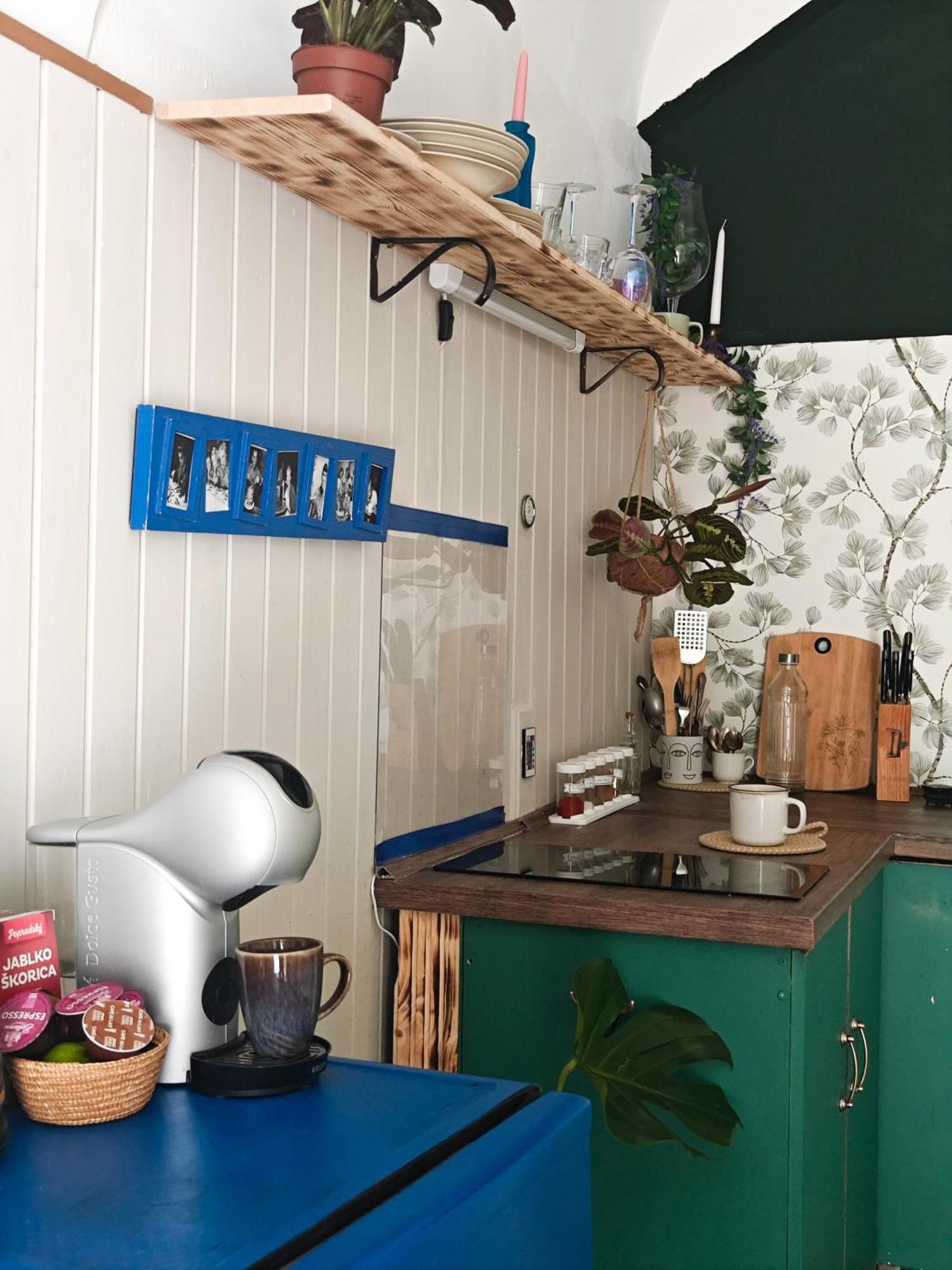 Vintage Room With Garden View Bratislava Bagian luar foto