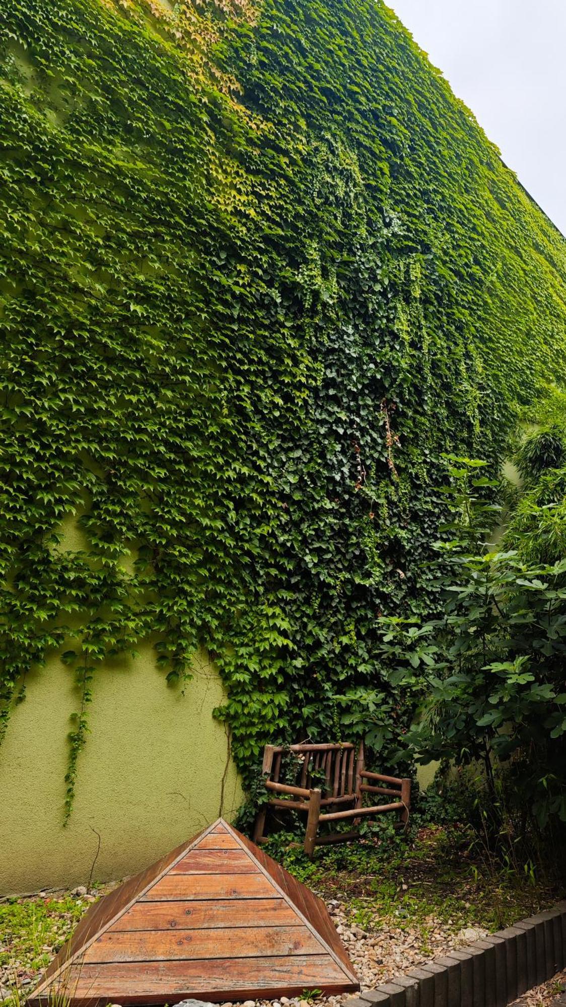 Vintage Room With Garden View Bratislava Bagian luar foto